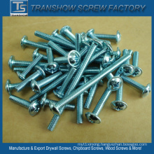 Galvanized Steel DIN967 Grade a Cross Recessed Pan Head Screws